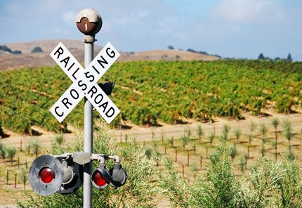 crossbuck in vineyard